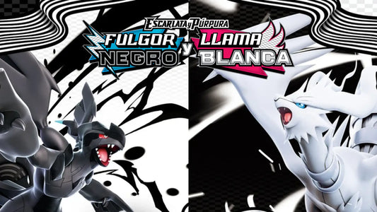 COLECCIÓN CON PÓSTER FULGOR NEGRO Y LLAMA BLANCA